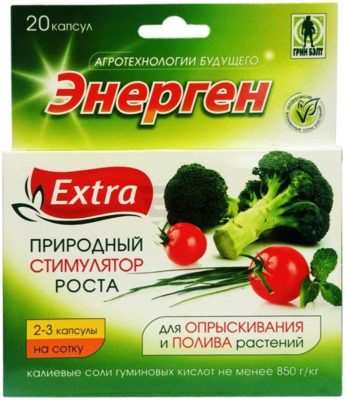 Выращиваем ароматные пряности: посадка кинзы в открытом грунте и в домашних условиях 3 Кровати CILANTHOUS