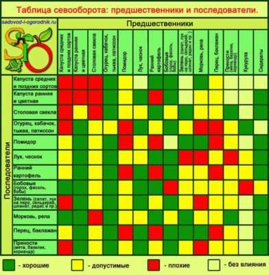 Выращиваем ароматные пряности: посадка кинзы в открытом грунте и в домашних условиях 15 Соседние районы CINS