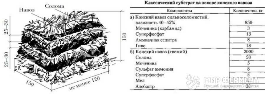 Как вырастить дома грибы: какие виды поддаются культивации, технология подготовки субстрата 6 sbstrat gribnoi