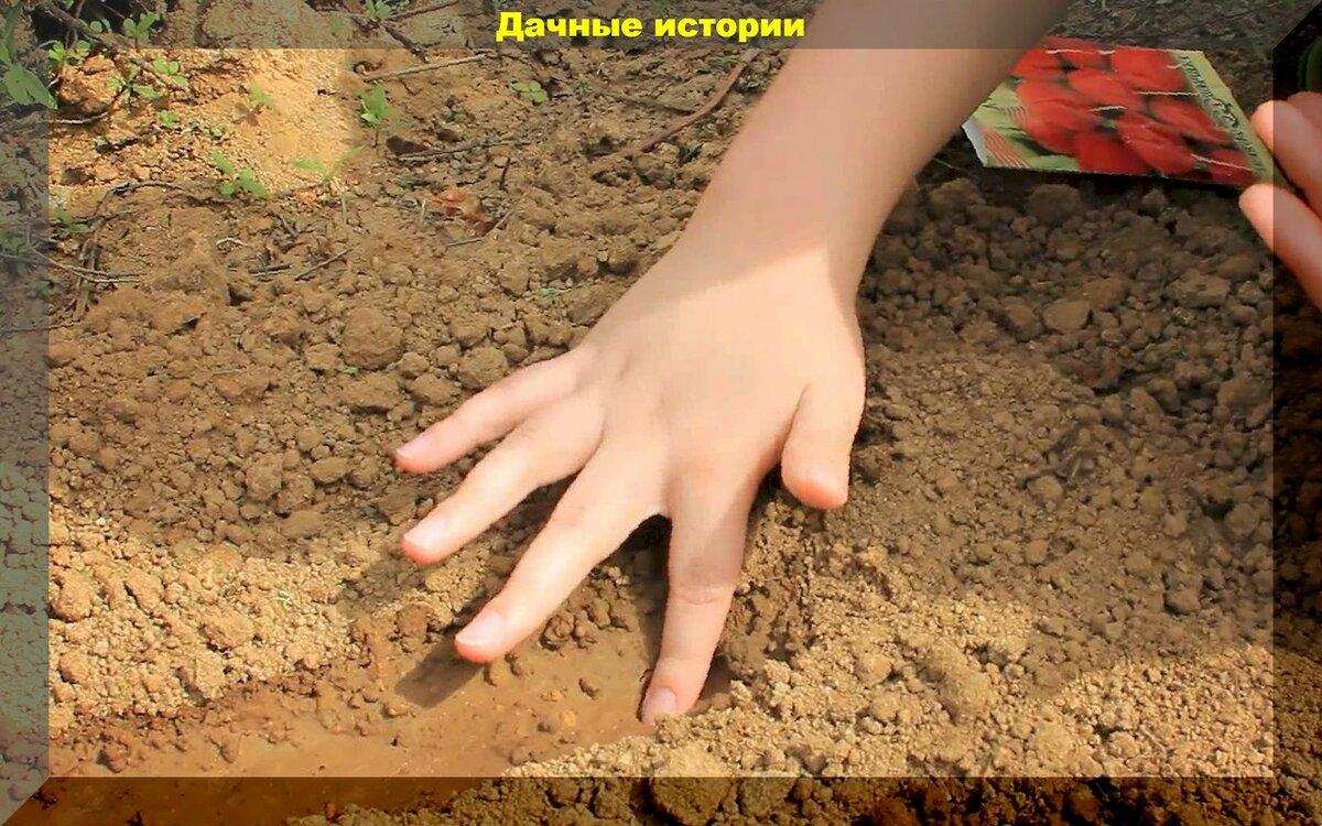 scale 1200 2022 11 27t064441.272