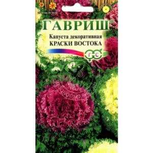 Декоративная капуста: фото, посадка, выращивание и уход 2 Декоративная капуста: фото, посадка, выращивание и уход