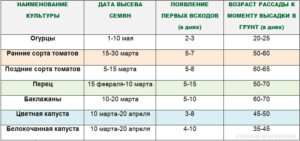 Как сажать семена 7 Таблица со сроками посева рассады