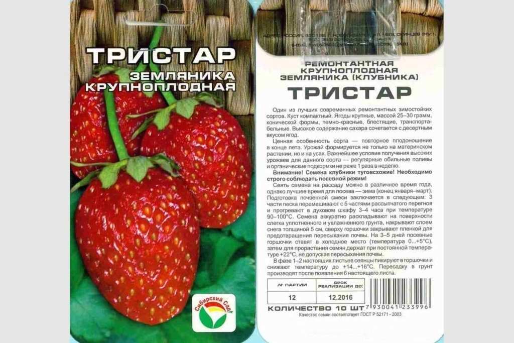 Tristar