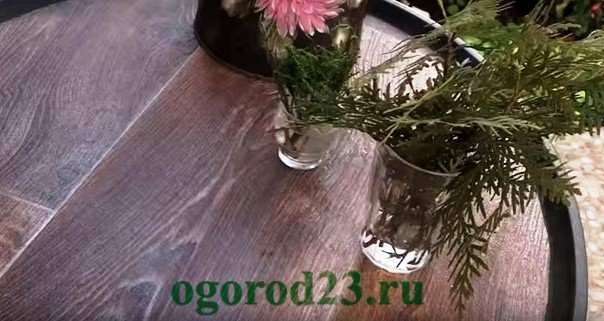 TUI Разведение 4