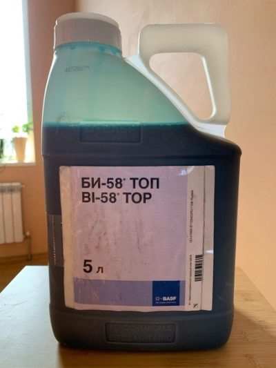 Все, что нужно знать о шиповнике 22 vse chto nuzhno znat o shipovnike 18