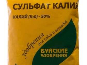 Все о выращивании садовой голубики 24 vse o vyrashchivanii sadovoj golubiki 19