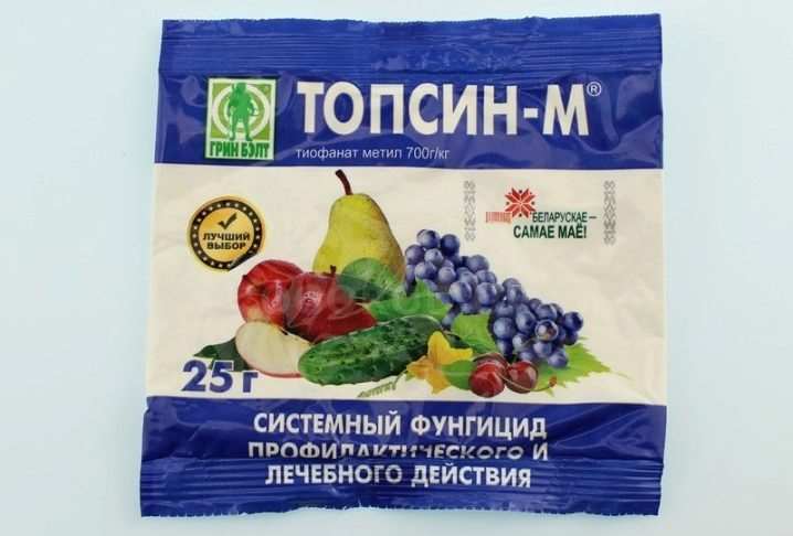 Все о выращивании садовой голубики 29 vse o vyrashchivanii sadovoj golubiki 24