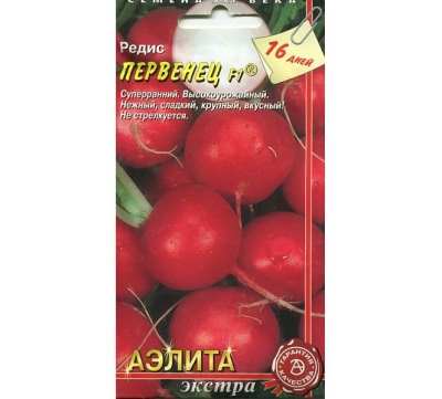 Выращивание редиса на подоконнике 4 vyrashchivanie redisa na podokonnike 3