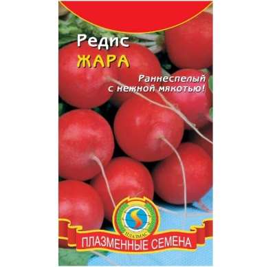 Выращивание редиса на подоконнике 8 vyrashchivanie redisa na podokonnike 7