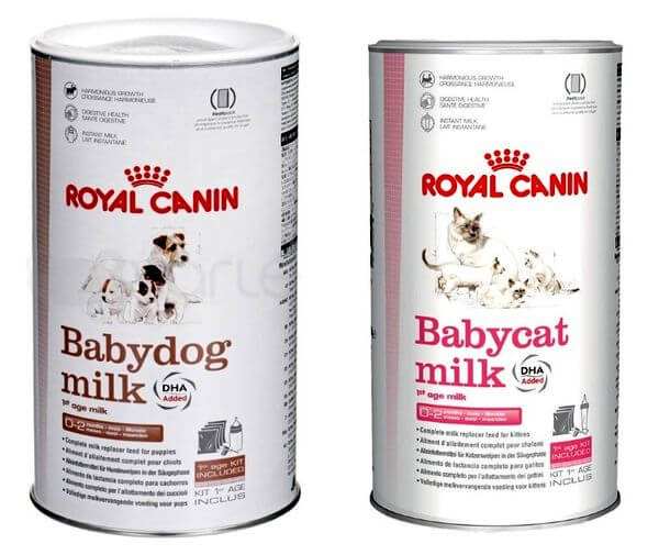 Как помочь бездомному котёнку или щенку 6 Заменители молока Royal Canin у щенков и котят.